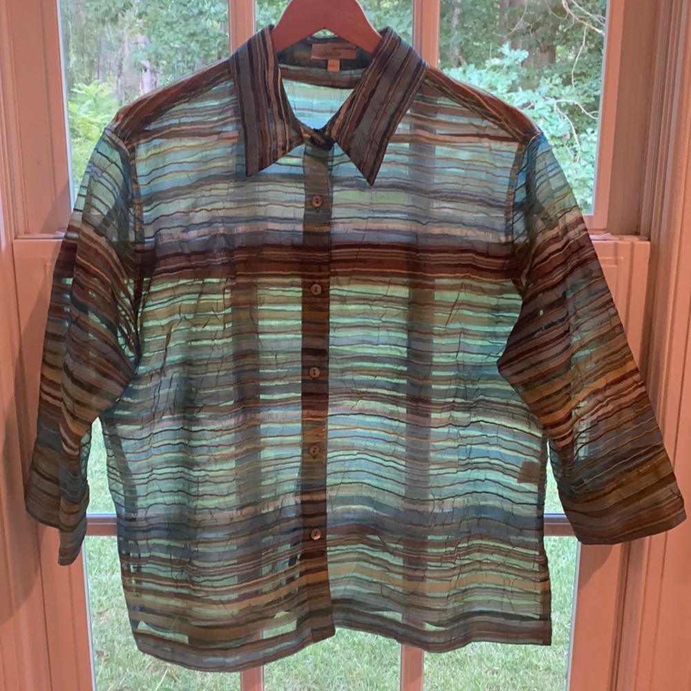 Choices sheer blouse